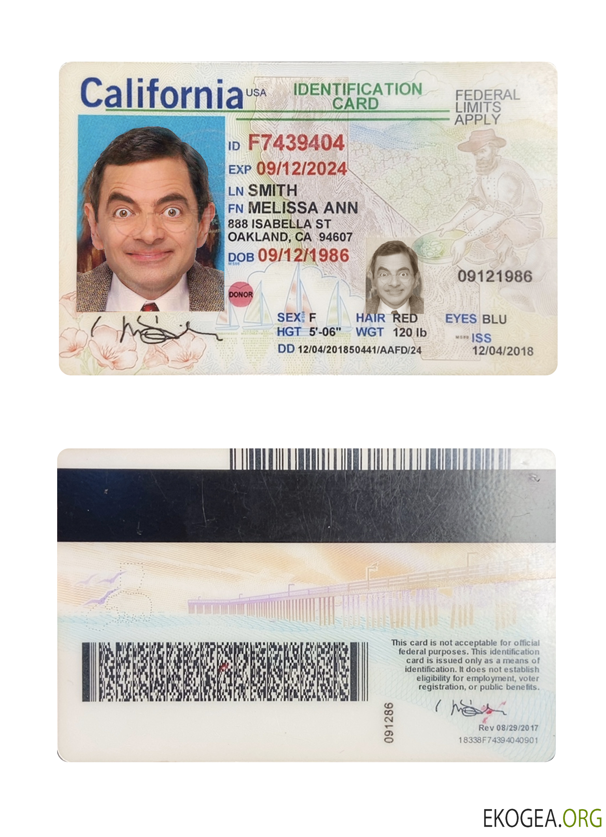 Carte d'identité USA Californie